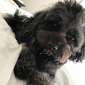 Meet your Posher, Lila